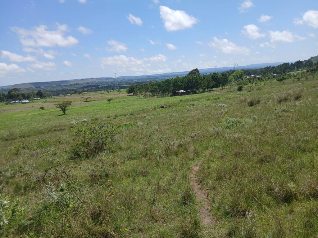 prime-5-acres-land-for-sale-in-red-hill-rla7t
