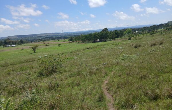 prime-5-acres-land-for-sale-in-red-hill-rla7t