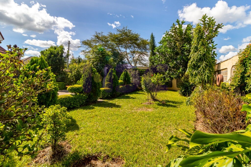 Kitengela Mansion Photos (66)